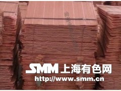 我公司供應(yīng)電解銅,鎂錠,鉛錠,鋁錠,鋅錠,錫錠等優(yōu)質(zhì)產(chǎn)品 - 有色商機(jī) - 上海有色網(wǎng)商機(jī)平臺 - 常州市中原金屬材料