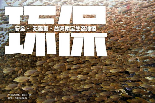 育苗池漆與養殖池漆在循環水工廠化水產養殖中的核心作用機理